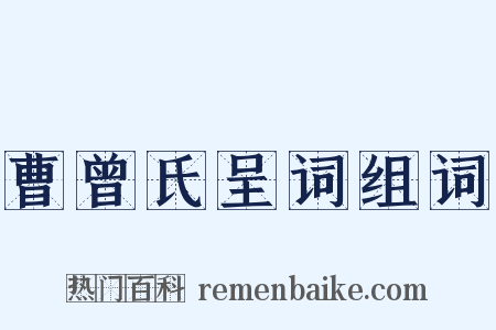 曹曾氏呈词组词是什么意思的图片